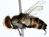  ( - BIOUG71215-C05)  @11 [ ] CreativeCommons - Attribution (2022) CBG Photography Group Centre for Biodiversity Genomics