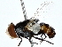  ( - BIOUG80188-A08)  @11 [ ] CreativeCommons - Attribution (2022) CBG Photography Group Centre for Biodiversity Genomics