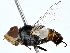  ( - BIOUG80188-A09)  @11 [ ] CreativeCommons - Attribution (2022) CBG Photography Group Centre for Biodiversity Genomics