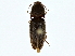  ( - BIOUG80189-F08)  @11 [ ] CreativeCommons - Attribution (2022) CBG Photography Group Centre for Biodiversity Genomics