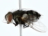  ( - BIOUG80190-C10)  @11 [ ] CreativeCommons - Attribution (2022) CBG Photography Group Centre for Biodiversity Genomics
