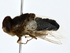  ( - BIOUG80195-A11)  @11 [ ] CreativeCommons - Attribution (2022) CBG Photography Group Centre for Biodiversity Genomics