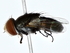  ( - BIOUG80728-G04)  @11 [ ] CreativeCommons - Attribution (2022) CBG Photography Group Centre for Biodiversity Genomics