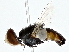  ( - BIOUG80729-H07)  @11 [ ] CreativeCommons - Attribution (2022) CBG Photography Group Centre for Biodiversity Genomics
