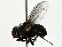  ( - BIOUG80732-A01)  @11 [ ] CreativeCommons - Attribution (2022) CBG Photography Group Centre for Biodiversity Genomics