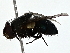  ( - BIOUG80732-A02)  @11 [ ] CreativeCommons - Attribution (2022) CBG Photography Group Centre for Biodiversity Genomics