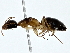  ( - BIOUG80732-B11)  @11 [ ] CreativeCommons - Attribution (2022) CBG Photography Group Centre for Biodiversity Genomics