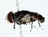  ( - BIOUG80733-F03)  @11 [ ] CreativeCommons - Attribution (2022) CBG Photography Group Centre for Biodiversity Genomics