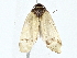 ( - BIOUG80734-D08)  @11 [ ] CreativeCommons - Attribution (2022) CBG Photography Group Centre for Biodiversity Genomics