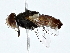 ( - BIOUG80736-E11)  @11 [ ] CreativeCommons - Attribution (2022) CBG Photography Group Centre for Biodiversity Genomics