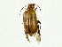  ( - BIOUG80738-A01)  @11 [ ] CreativeCommons - Attribution (2022) CBG Photography Group Centre for Biodiversity Genomics