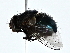  ( - BIOUG80738-C10)  @11 [ ] CreativeCommons - Attribution (2022) CBG Photography Group Centre for Biodiversity Genomics