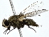  ( - BIOUG80741-B04)  @11 [ ] CreativeCommons - Attribution (2022) CBG Photography Group Centre for Biodiversity Genomics