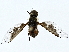  ( - BIOUG80743-B10)  @11 [ ] CreativeCommons - Attribution (2022) CBG Photography Group Centre for Biodiversity Genomics