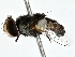  ( - BIOUG80743-C02)  @11 [ ] CreativeCommons - Attribution (2022) CBG Photography Group Centre for Biodiversity Genomics