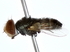  ( - BIOUG80757-F06)  @11 [ ] CreativeCommons - Attribution (2022) CBG Photography Group Centre for Biodiversity Genomics