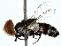  ( - BIOUG80761-B05)  @11 [ ] CreativeCommons - Attribution (2022) CBG Photography Group Centre for Biodiversity Genomics