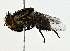  ( - BIOUG80762-F01)  @11 [ ] CreativeCommons - Attribution (2022) CBG Photography Group Centre for Biodiversity Genomics