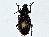  ( - BIOUG80764-F12)  @11 [ ] CreativeCommons - Attribution (2022) CBG Photography Group Centre for Biodiversity Genomics