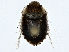  ( - BIOUG80764-G10)  @11 [ ] CreativeCommons - Attribution (2022) CBG Photography Group Centre for Biodiversity Genomics