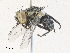  ( - CBG-A31814-C01)  @11 [ ] CreativeCommons - Attribution Share - Alike (2024) CBG Photography Group Centre for Biodiversity Genomics