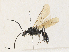  ( - CBG-A31814-H02)  @11 [ ] CreativeCommons - Attribution Share - Alike (2024) CBG Photography Group Centre for Biodiversity Genomics