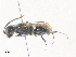 ( - CBG-A31817-E08)  @11 [ ] CreativeCommons - Attribution Share - Alike (2024) CBG Photography Group Centre for Biodiversity Genomics