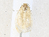  ( - CBG-A31817-H04)  @11 [ ] CreativeCommons - Attribution Share - Alike (2024) CBG Photography Group Centre for Biodiversity Genomics