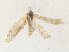  ( - CBG-A31818-B05)  @11 [ ] CreativeCommons - Attribution Share - Alike (2024) CBG Photography Group Centre for Biodiversity Genomics