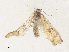  ( - CBG-A31818-B07)  @11 [ ] CreativeCommons - Attribution Share - Alike (2024) CBG Photography Group Centre for Biodiversity Genomics