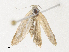  ( - CBG-A31818-B08)  @11 [ ] CreativeCommons - Attribution Share - Alike (2024) CBG Photography Group Centre for Biodiversity Genomics
