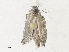  ( - CBG-A31818-B09)  @11 [ ] CreativeCommons - Attribution Share - Alike (2024) CBG Photography Group Centre for Biodiversity Genomics