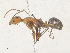  ( - CBG-A31818-E07)  @11 [ ] CreativeCommons - Attribution Share - Alike (2024) CBG Photography Group Centre for Biodiversity Genomics