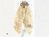  ( - CBG-A31818-F01)  @11 [ ] CreativeCommons - Attribution Share - Alike (2024) CBG Photography Group Centre for Biodiversity Genomics