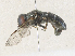  ( - CBG-A31819-C05)  @11 [ ] CreativeCommons - Attribution Share - Alike (2024) CBG Photography Group Centre for Biodiversity Genomics