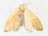  ( - CBG-A31819-D12)  @11 [ ] CreativeCommons - Attribution Share - Alike (2024) CBG Photography Group Centre for Biodiversity Genomics