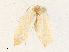  ( - CBG-A31820-B02)  @11 [ ] CreativeCommons - Attribution Share - Alike (2024) CBG Photography Group Centre for Biodiversity Genomics