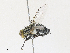  ( - CBG-A31825-A06)  @11 [ ] CreativeCommons - Attribution Share - Alike (2024) CBG Photography Group Centre for Biodiversity Genomics