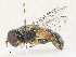  ( - CBG-A31825-D02)  @11 [ ] CreativeCommons - Attribution Share - Alike (2024) CBG Photography Group Centre for Biodiversity Genomics