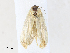  ( - CBG-A31826-F05)  @11 [ ] CreativeCommons - Attribution Share - Alike (2024) CBG Photography Group Centre for Biodiversity Genomics