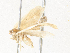  ( - CBG-A31828-D07)  @11 [ ] CreativeCommons - Attribution Share - Alike (2024) CBG Photography Group Centre for Biodiversity Genomics