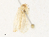  ( - CBG-A31828-G03)  @11 [ ] CreativeCommons - Attribution Share - Alike (2024) CBG Photography Group Centre for Biodiversity Genomics