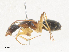  ( - CBG-A35141-C05)  @11 [ ] CreativeCommons - Attribution Share - Alike (2024) CBG Photography Group Centre for Biodiversity Genomics