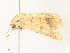  ( - CBG-A35143-B06)  @11 [ ] CreativeCommons - Attribution Share - Alike (2024) CBG Photography Group Centre for Biodiversity Genomics