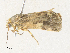  ( - CBG-A35143-C04)  @11 [ ] CreativeCommons - Attribution Share - Alike (2024) CBG Photography Group Centre for Biodiversity Genomics