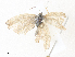  ( - CBG-A35143-C09)  @11 [ ] CreativeCommons - Attribution Share - Alike (2024) CBG Photography Group Centre for Biodiversity Genomics