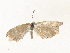  ( - CBG-A35143-H10)  @11 [ ] CreativeCommons - Attribution Share - Alike (2024) CBG Photography Group Centre for Biodiversity Genomics
