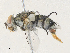  ( - CBG-A35144-G03)  @11 [ ] CreativeCommons - Attribution Share - Alike (2024) CBG Photography Group Centre for Biodiversity Genomics