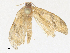 ( - CBG-A35147-G11)  @11 [ ] CreativeCommons - Attribution Share - Alike (2024) CBG Photography Group Centre for Biodiversity Genomics