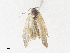  ( - CBG-A35148-E12)  @11 [ ] CreativeCommons - Attribution Share - Alike (2024) CBG Photography Group Centre for Biodiversity Genomics